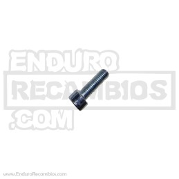 Tornillo guardabarros delantero (din 912 M6x20) para AJP...