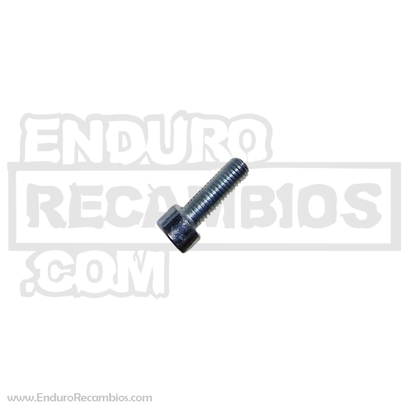 Tornillo guardabarros delantero (din 912 M6x20) para AJP PF0912006020