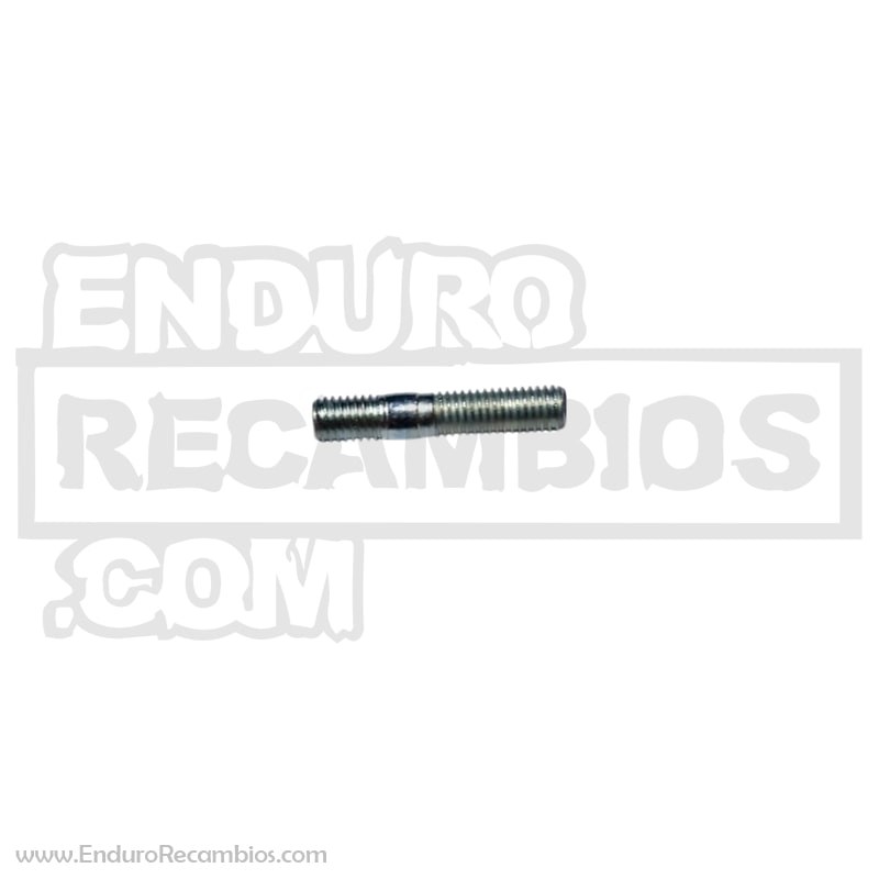 ESPARRAGO 8-30 - 2598055000