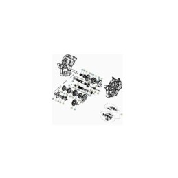 SEEGER x EJE D-20 - 3401221000