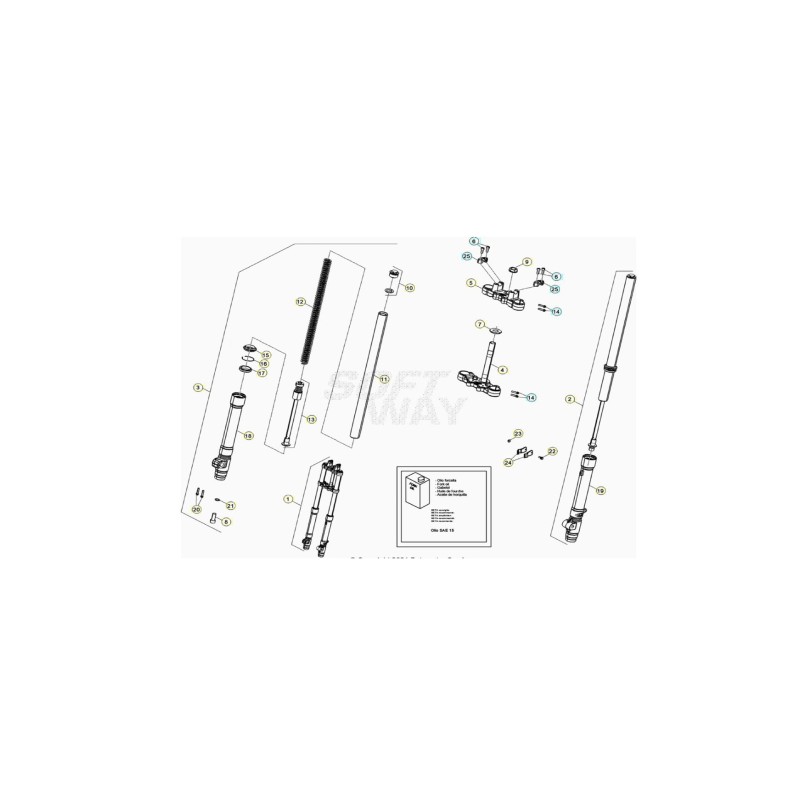 MUELLE HORQUILLA RRT 2012 - 024340590000
