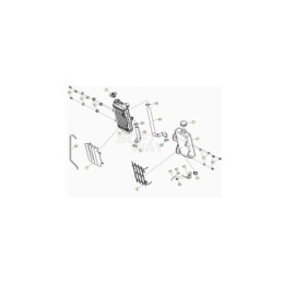 TAPON RADIADOR RK6-50 - 2901260000