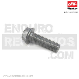TORNILLO ESPECIAL 8X25 CH10 - 3164070000