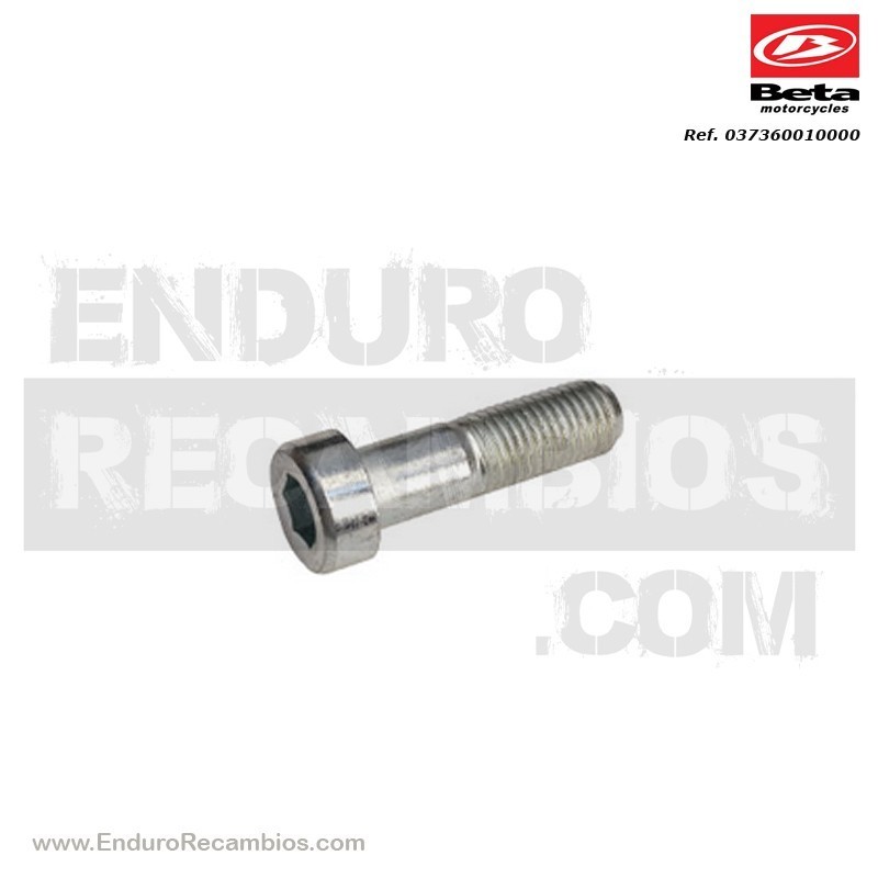 TORNILLO ESPECIAL M- 10 X 1,25 X 35 - 037360010000