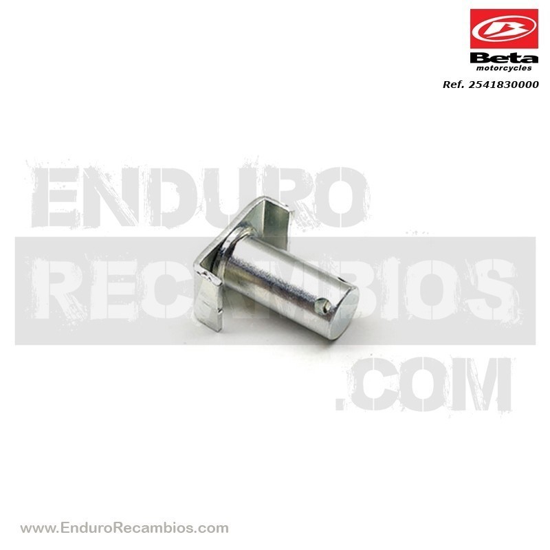 EJE BOMBA POST-RR-4T-07 - 2541830000