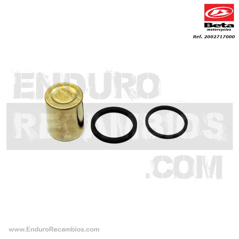 JUEGO PISTÓN Y GUARNICIÓN PINZA RR-4T - 2002717000