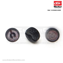TORNILLO ESP- PASTILLAS PINZAS RR-4T-06 - 3196821000