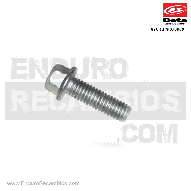 TORNILLO 6X20 RS CH8 - 1149070000