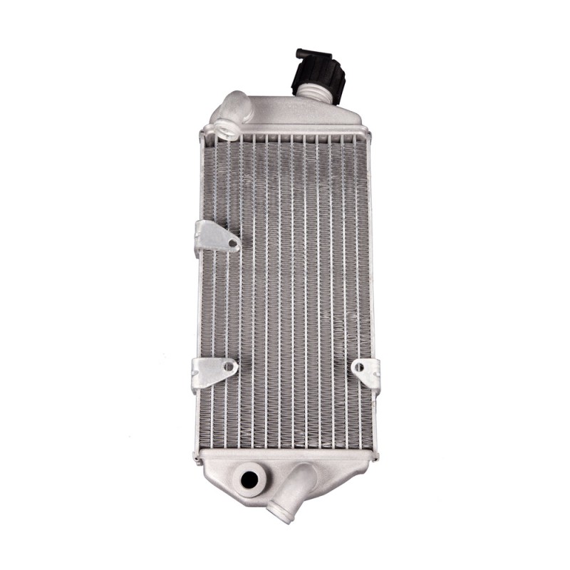 RADIADOR DX - 036390018000