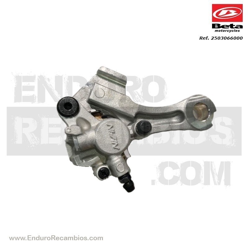 PINZA FRENO POSTERIOR RR-4T - 2503066000