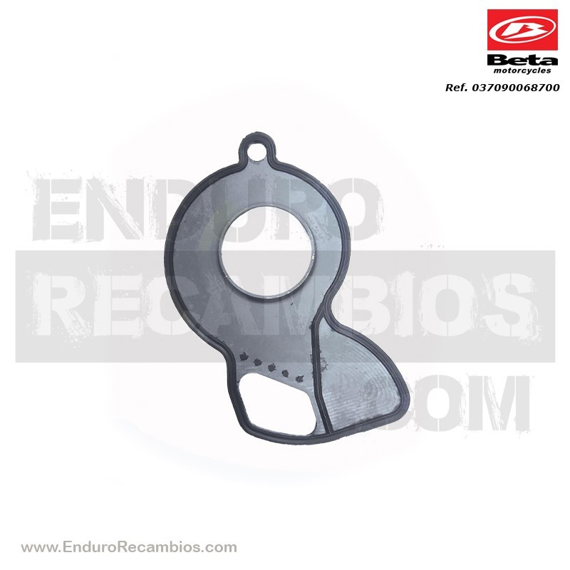 INSERTO - 037090068700