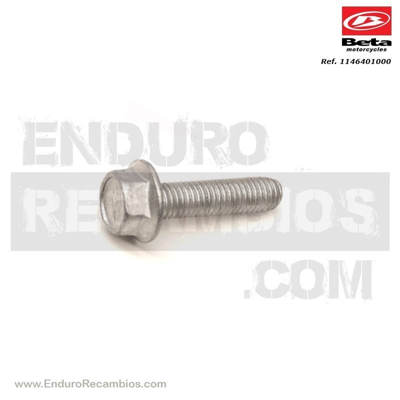 TORNILLO 5X20 LLAVE 8rs RR-4T - 1146401000
