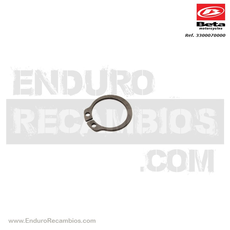 SEEGER PARA EJE D-19 - 3300070000