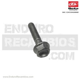 TORNILLO 5 X 25 RS CH 8 - C24310420000