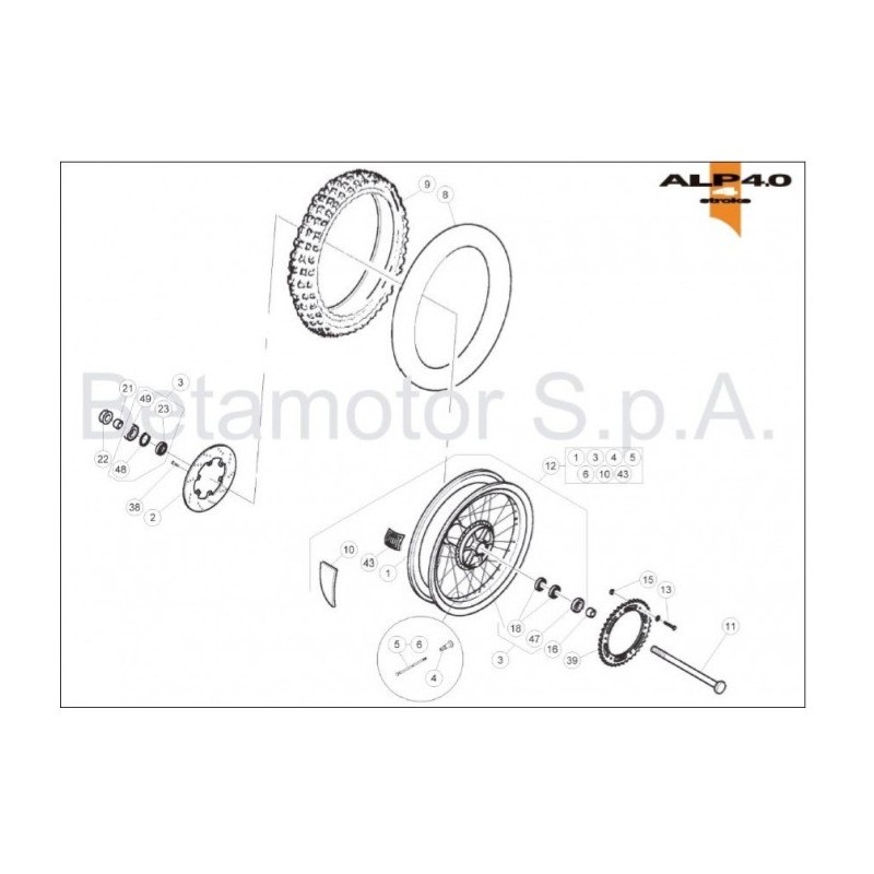 CAMARA - 036420060000