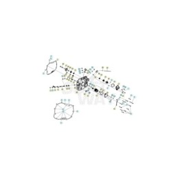 MUELLE - 034030020000
