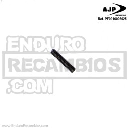 Perno roscado (din 916 M6x25) para AJP PF0916006025