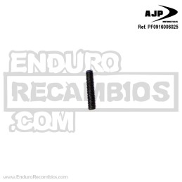 Perno roscado (din 916 M6x25) para AJP PF0916006025