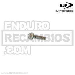 Brida tornillo fijación bomba de freno (din 69FS2 M6x25) para AJP PF069FS26025