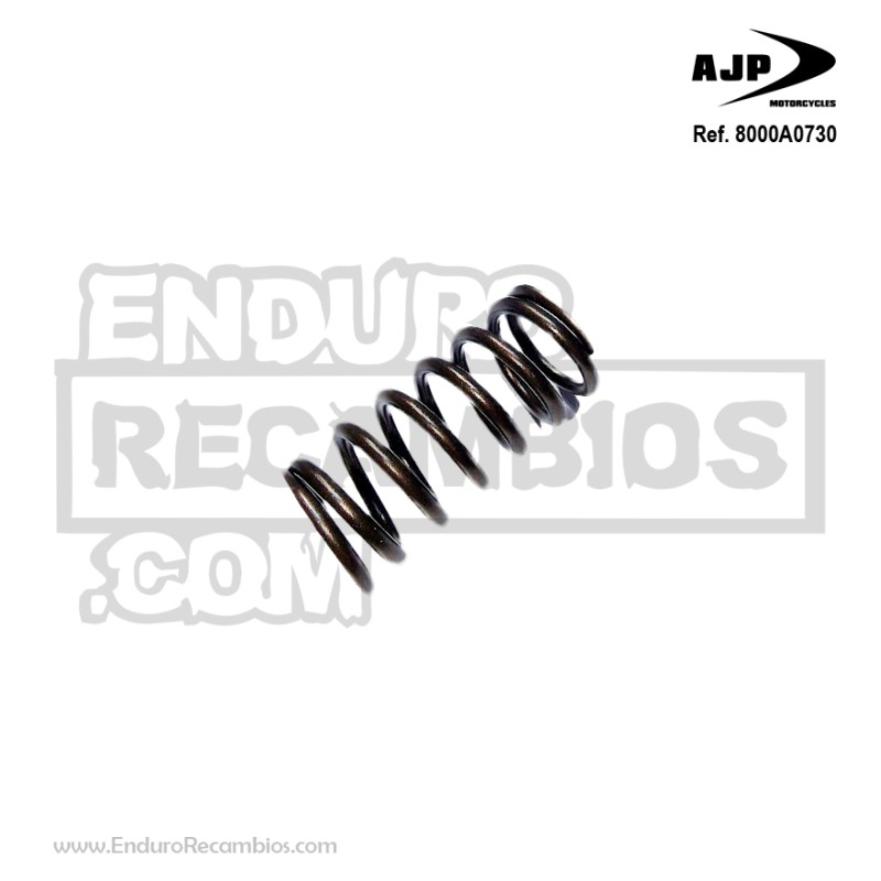 Muelle embrague (14,3x18,9x40,3) para AJP 8000A0730