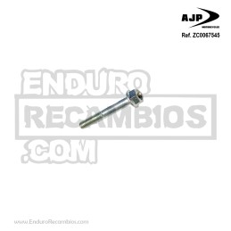 Tornillo (tef M6x65 CH8) para AJP ZC0067545