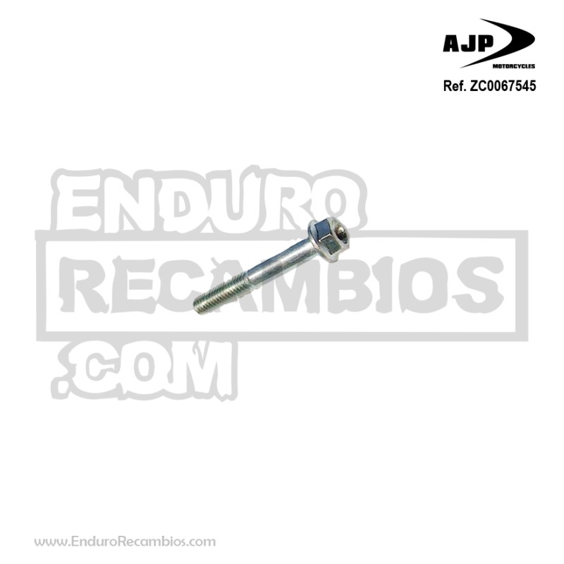 Tornillo (tef M6x65 CH8) para AJP ZC0067545