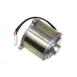 MOTOR 36V 750 W MINITRIAL 16/20 - 038680008000