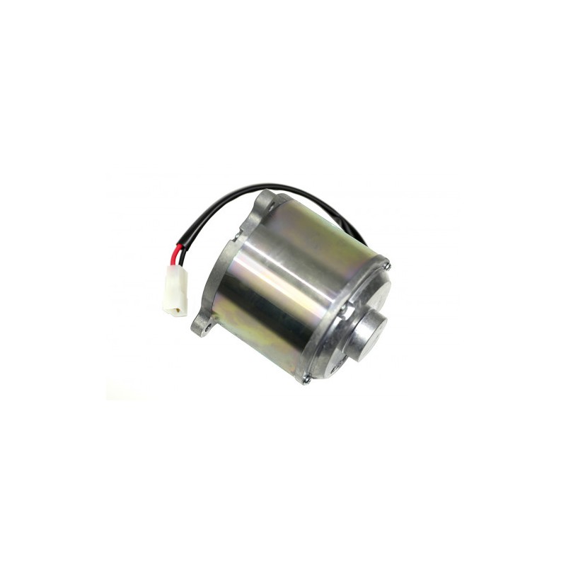 MOTOR 36V 750 W MINITRIAL 16/20 - 038680008000