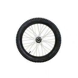 RUEDA ANT COMPL MINITRIAL 20" - 038410068057