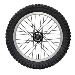 RUEDA DELANTERA MINITRIAL 20" - 038410338057