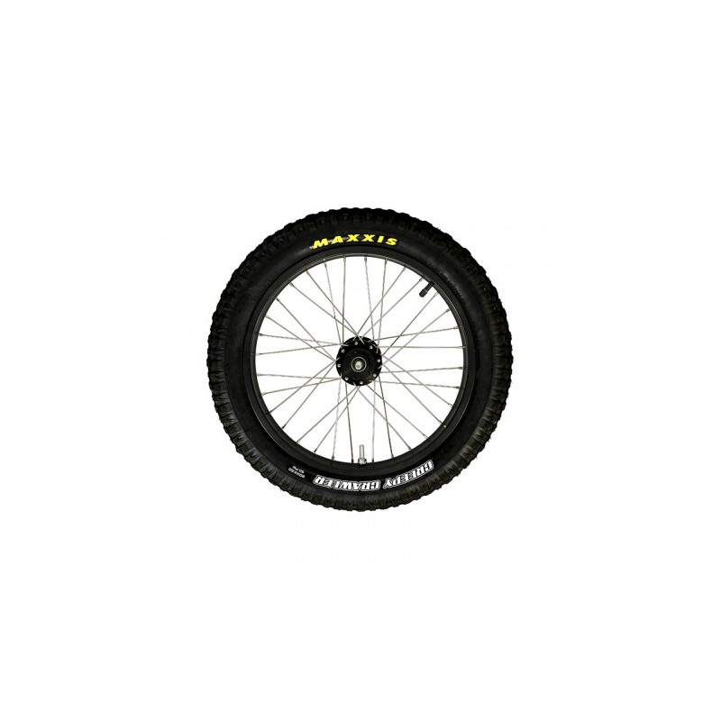 RUEDA POSTERIOR COMPLETA MINITRIAL EXL - 038420108057