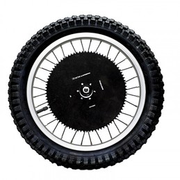 RUEDA TRASERA MINITRIAL ELEC 20" - 038420058057
