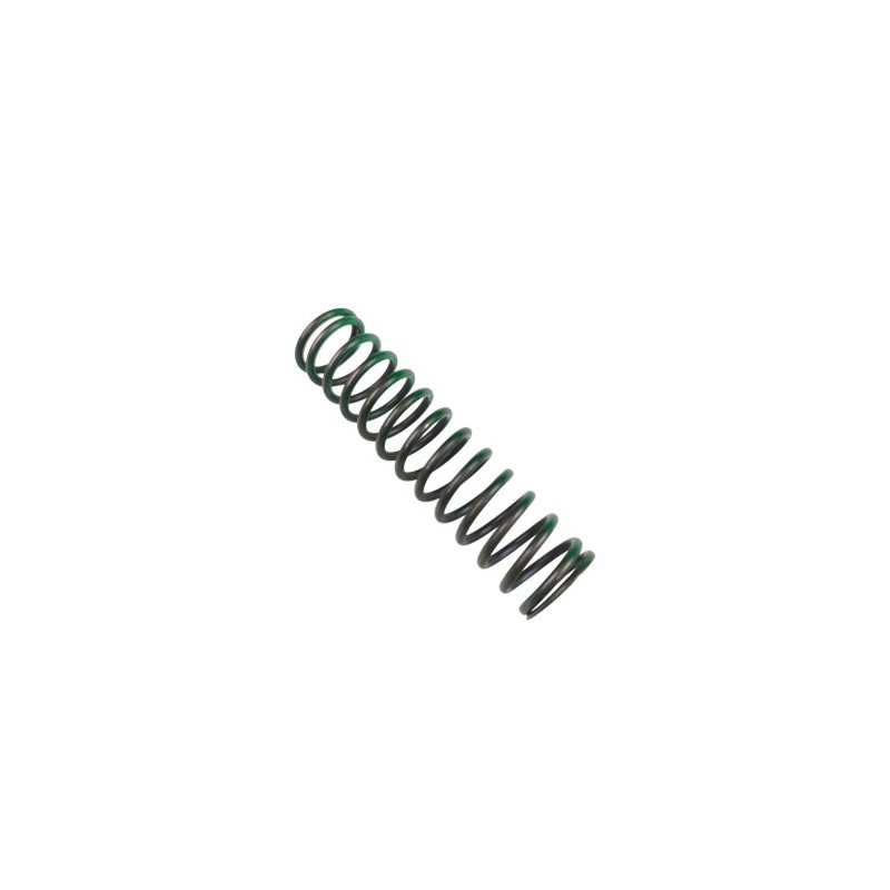 Nº 7 - MUELLE REGULACIÓN 300 CC - 026090190000