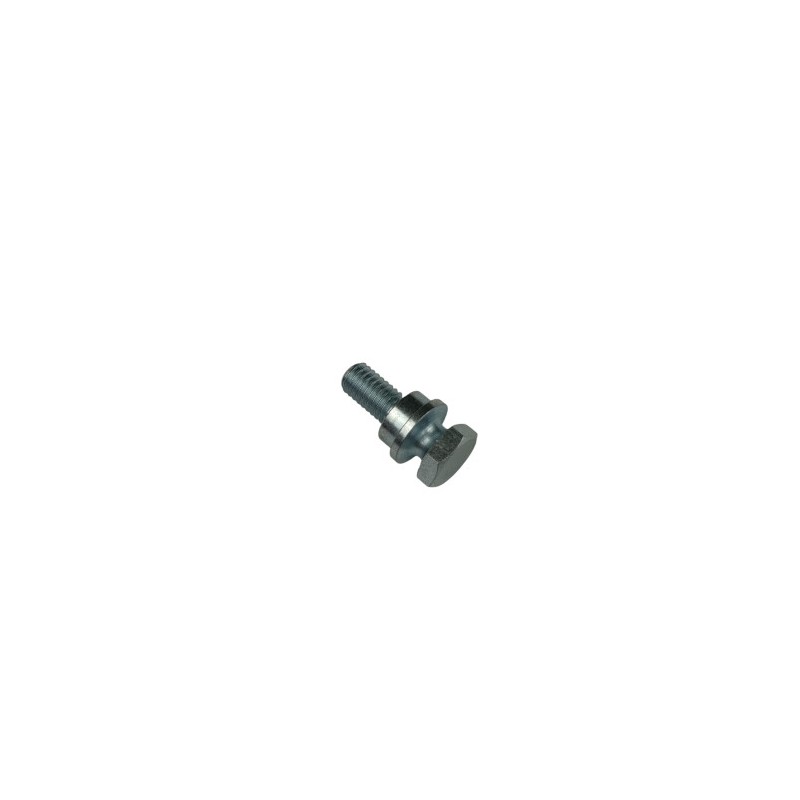 Nº 29 - TORNILLO ESP- CAVALLETE RR 4T 2008 - 1166615000