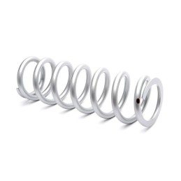 Muelle de choque KYB 46mm 260mm 42N - 120534600601