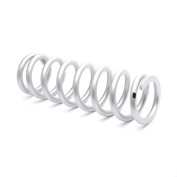 Muelle amortiguador KYB 46mm 260mm 48N - 120534600901