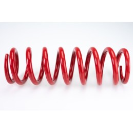 Muelle Amortiguador KYB 46MM 260MM 50N Cuello Rojo -...