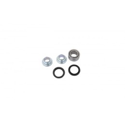 KIT Amortiguador Trasero ALL Balls EVO 2T- 4T - 29.5078