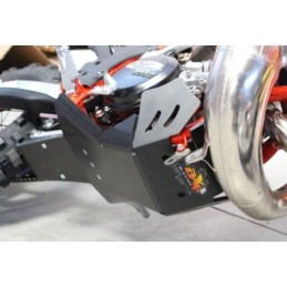 Protector Carter RR 2T 250/300 18-19 - AX1461