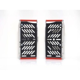 Protector Radiador Xtrem RR 4T 350-390-430-480 Racing...