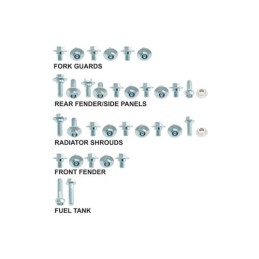 KIT Tornillos Fijacion Beta(bolt) - BET.1300124