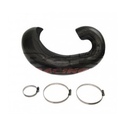 Protector Carbono RR 2T 250/300 2015-2026 - PE332