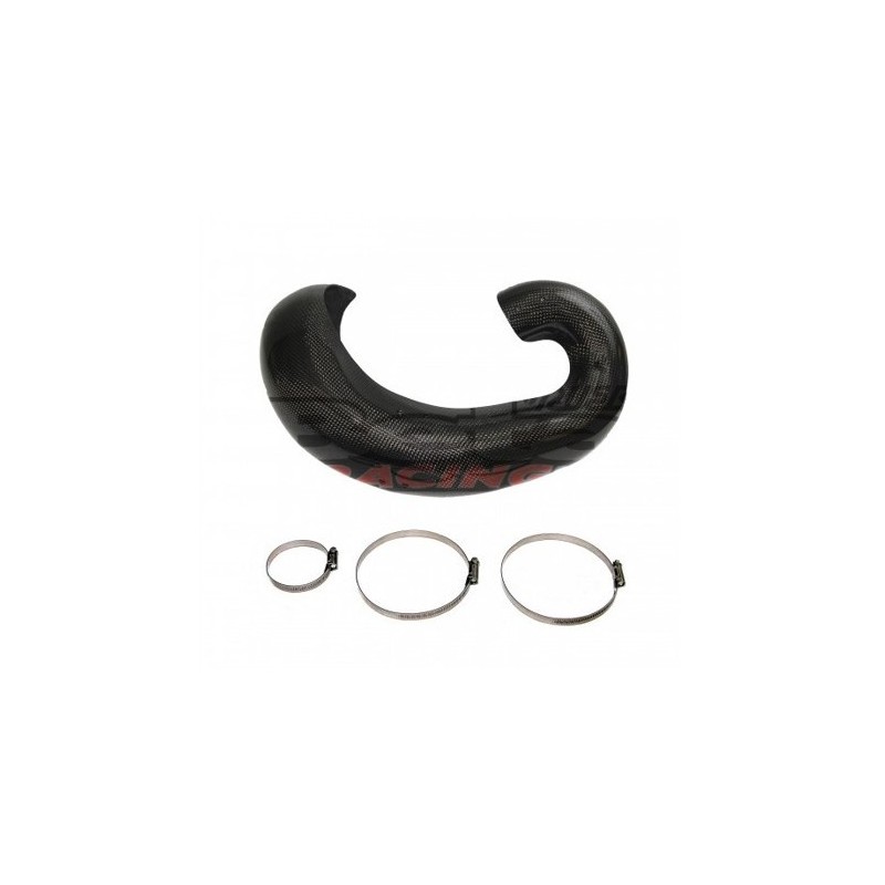 Protector Carbono RR 2T 250/300 2015-2026 - PE332