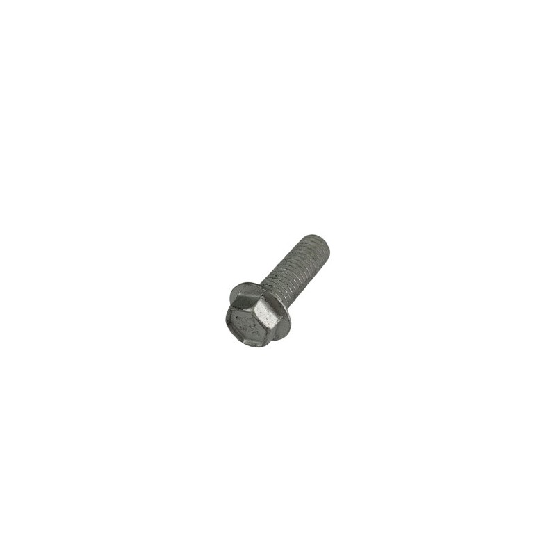 Nº 11 - TORNILLO ESPECIAL 8X25 CH10 - 3164070000