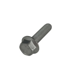 Nº 31 - TORNILLO 5X20 LLAVE 8rs RR-4T - 1146401000