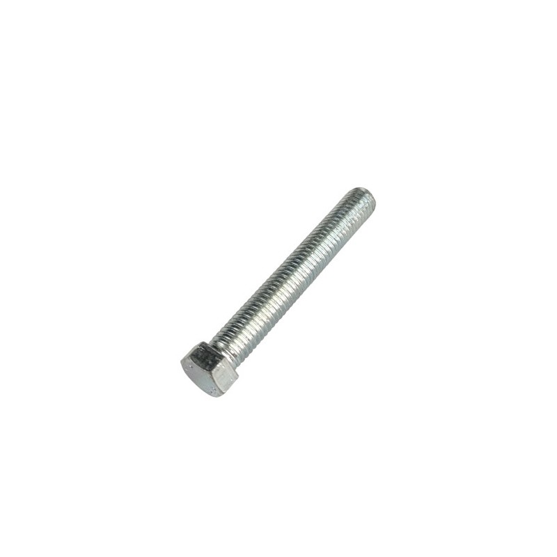 Nº 31 - TORNILLO 8X55 IF CH 10 ZB - 1155909000
