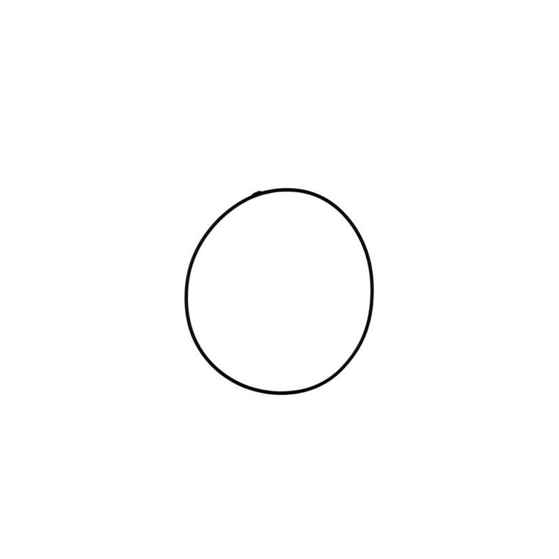 Nº 7 - TORICA OR 105.2 VITON - 1066978000
