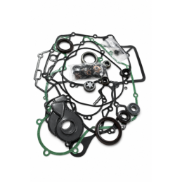 Nº 43 - JUEGO JUNTAS CARTER - KIT RX 4T - 049010138200