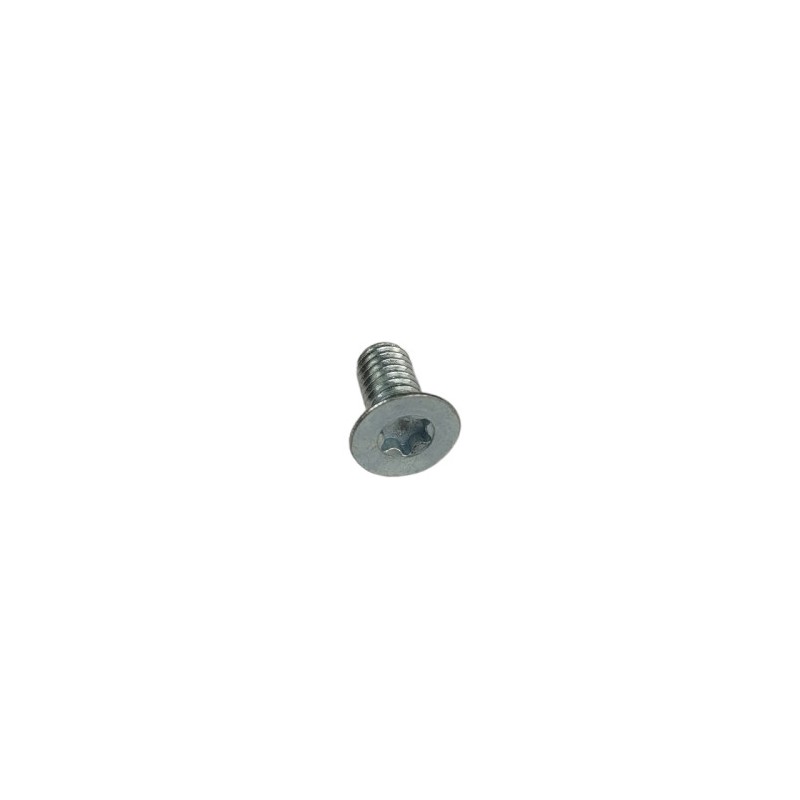 Nº 6 - TORNILLO TSP TORX M6X12 - 10.9/12.9 - C24900020000