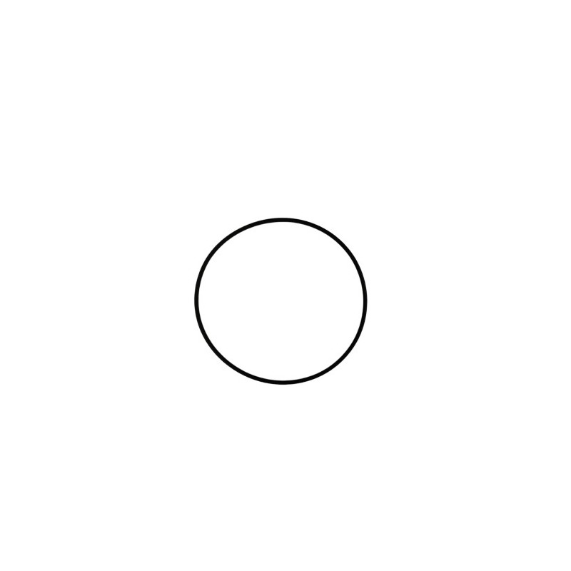 Nº 6 - TORICA OR 78.2 VITON - 1066973000